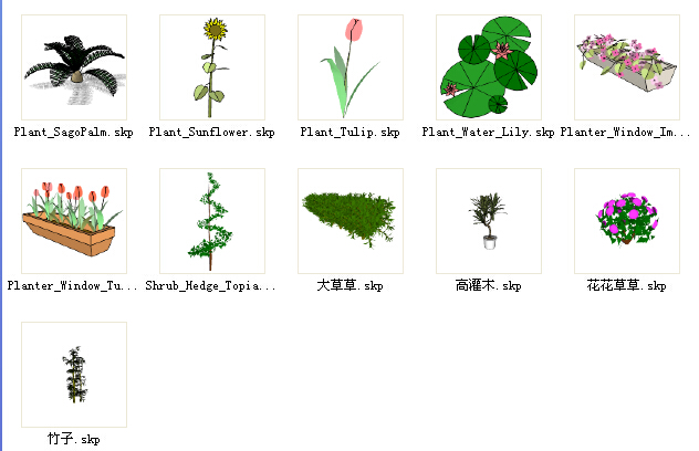 3D草本植物SU模型免费打包下载