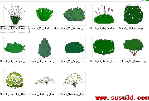 2D草丛植物SU模型免费打包下载